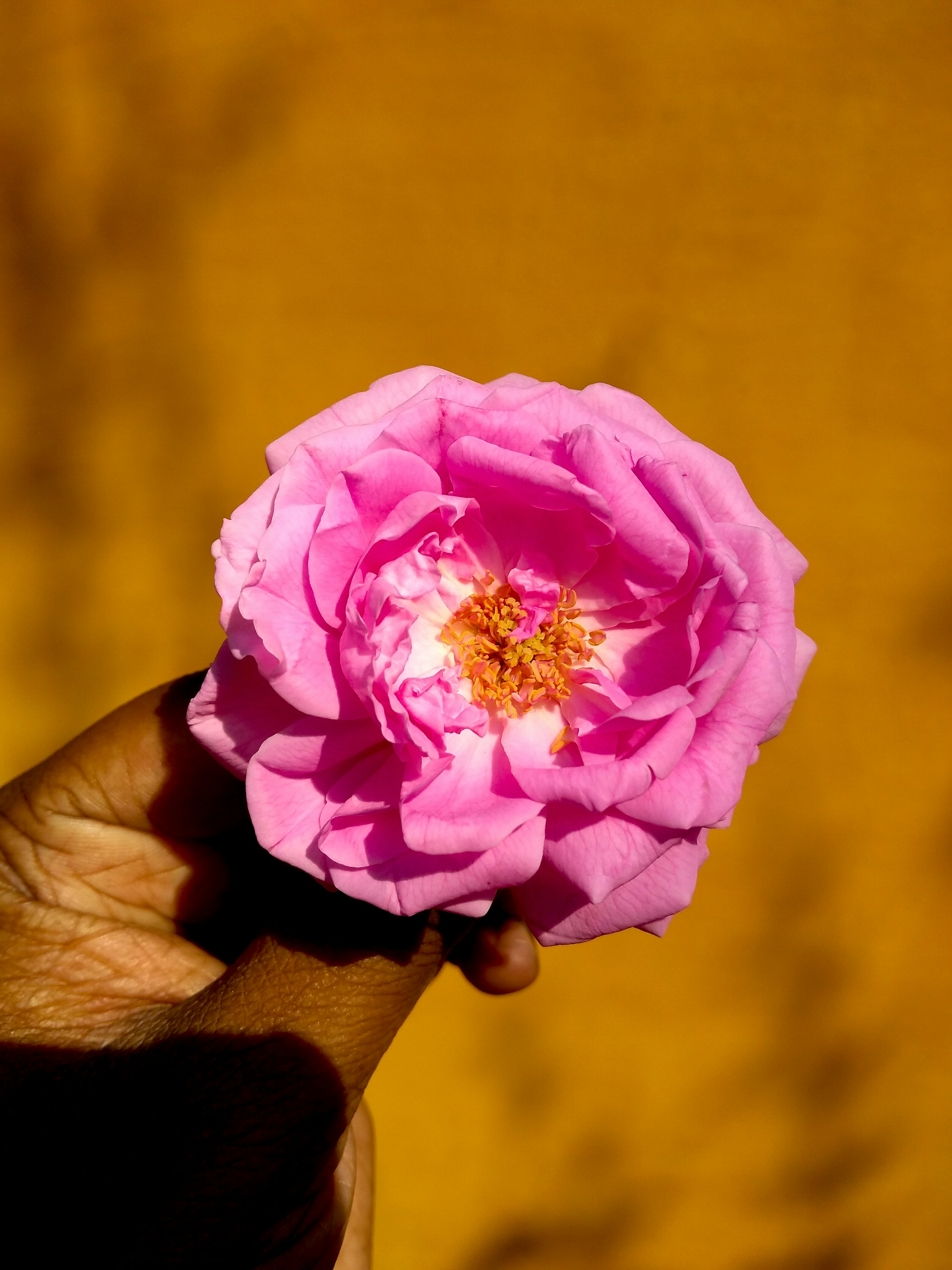 omkar-pawar-KdHLEIBdXTo-unsplash